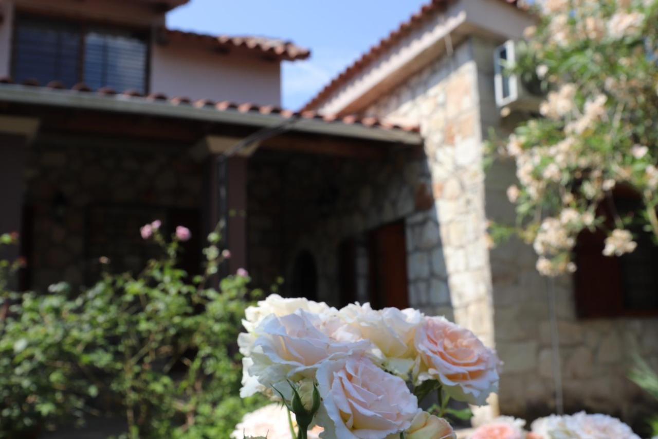 Villa Polytimi วอนิตซา ภายนอก รูปภาพ